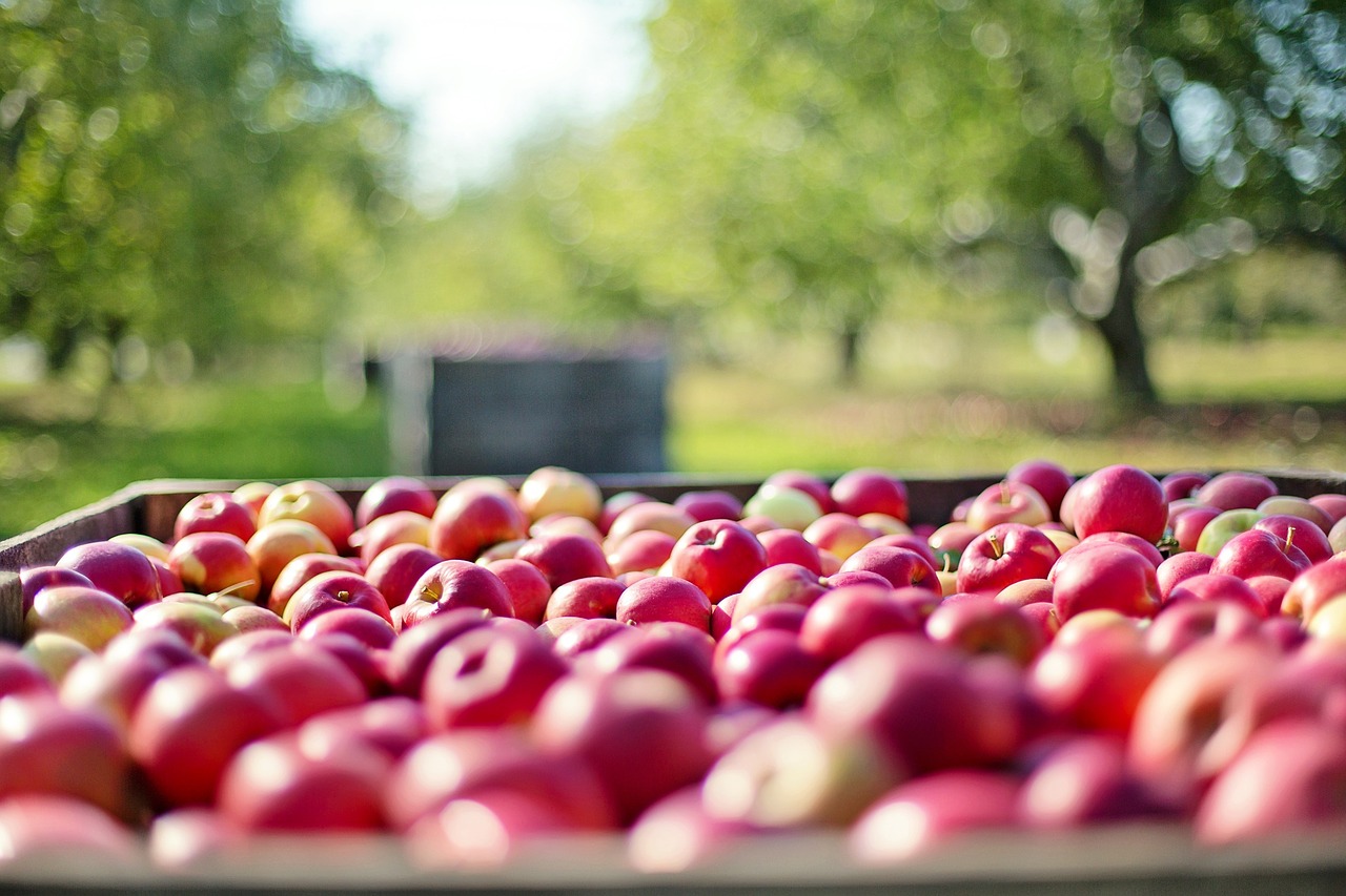 manzanas-proximidad.jpg_2101091994