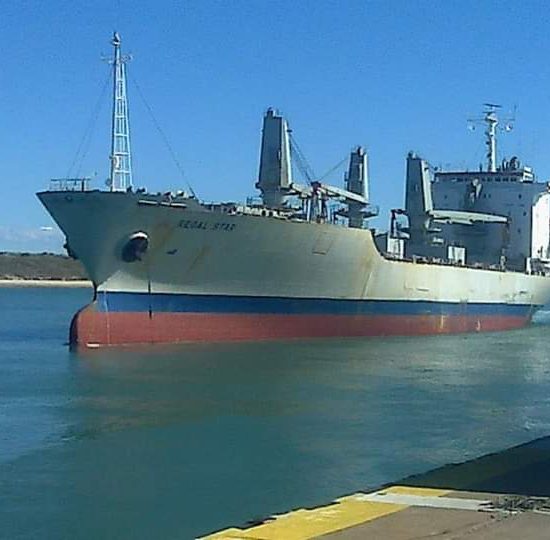 Puerto SAE