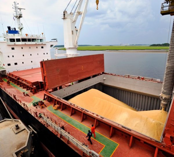 Exportacion de de cereales