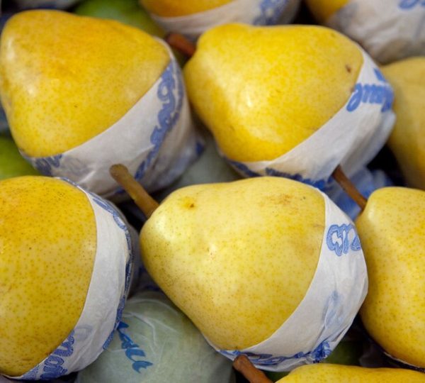 Exportacion de Peras